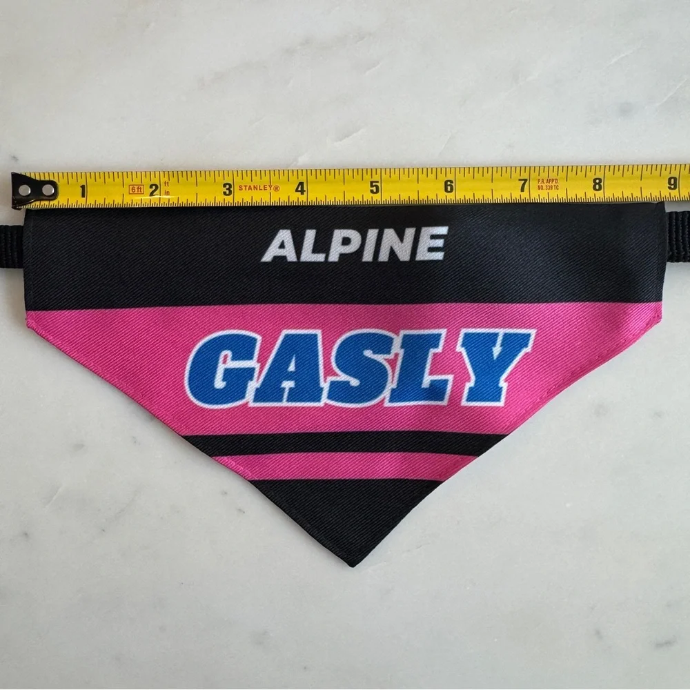 Pierre Gasly F1 Dog Bandana Medium - Formula 1 Dog Collar